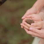 Seguro de Vida Tem Carência? Saiba Quando a Cobertura Começa a Valer