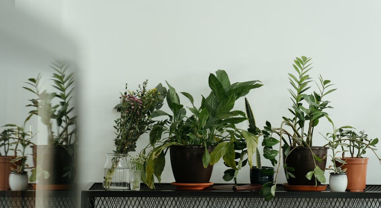 Equipamentos para Cultivo