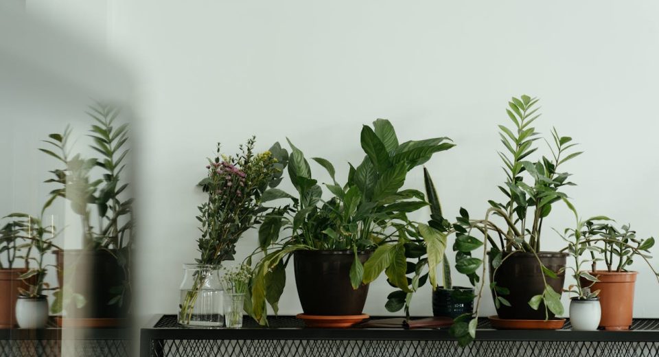 Equipamentos para Cultivo